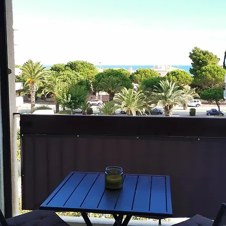 Appartement Refait A Neuf, Climatise Avec Vue Mer Et Montagne, Avec Place De Parking Privative Saint-Cyprien  Exterior photo