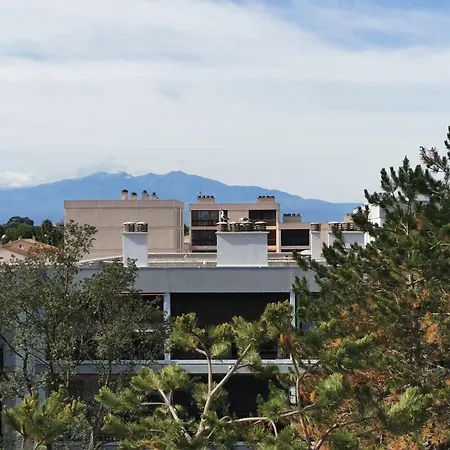 Appartement Refait A Neuf, Climatise Avec Vue Mer Et Montagne, Avec Place De Parking Privative Saint-Cyprien  Exterior photo
